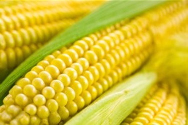 Corn