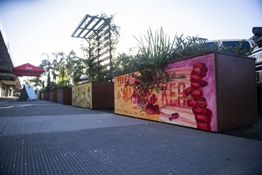 Planter Box
