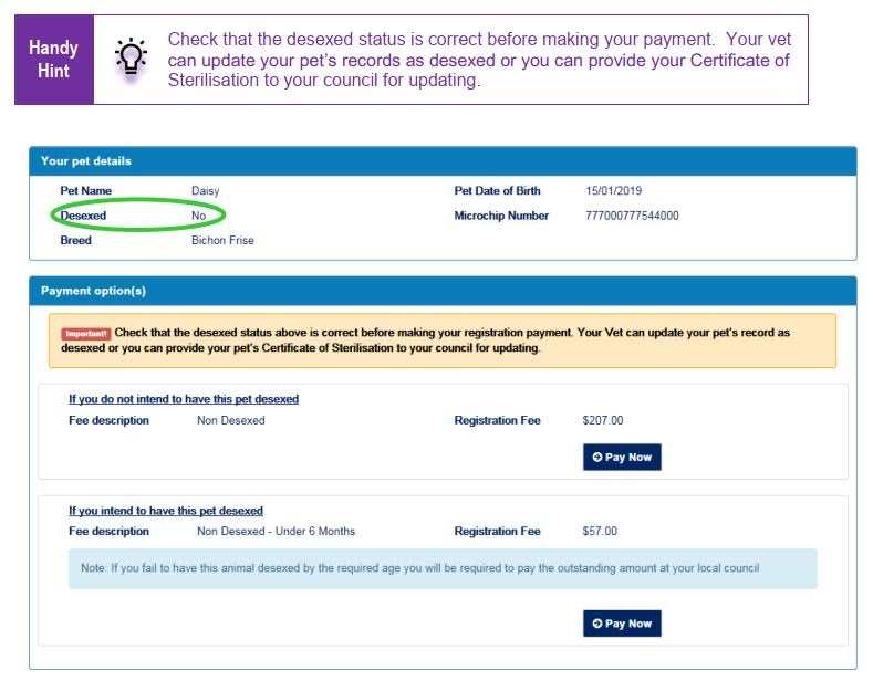 How to register your pet online Clarence Valley Council