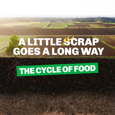 Cycle of food