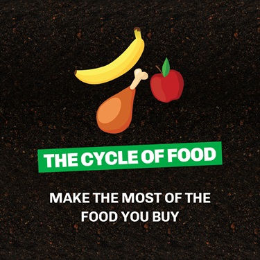 Cycle of food