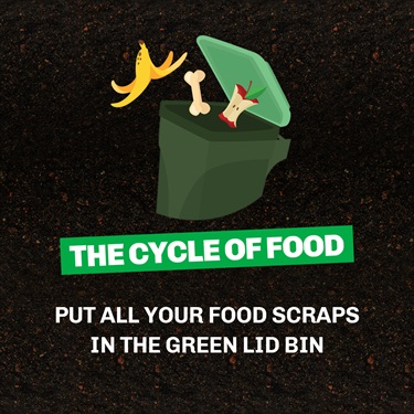 Cycle of food
