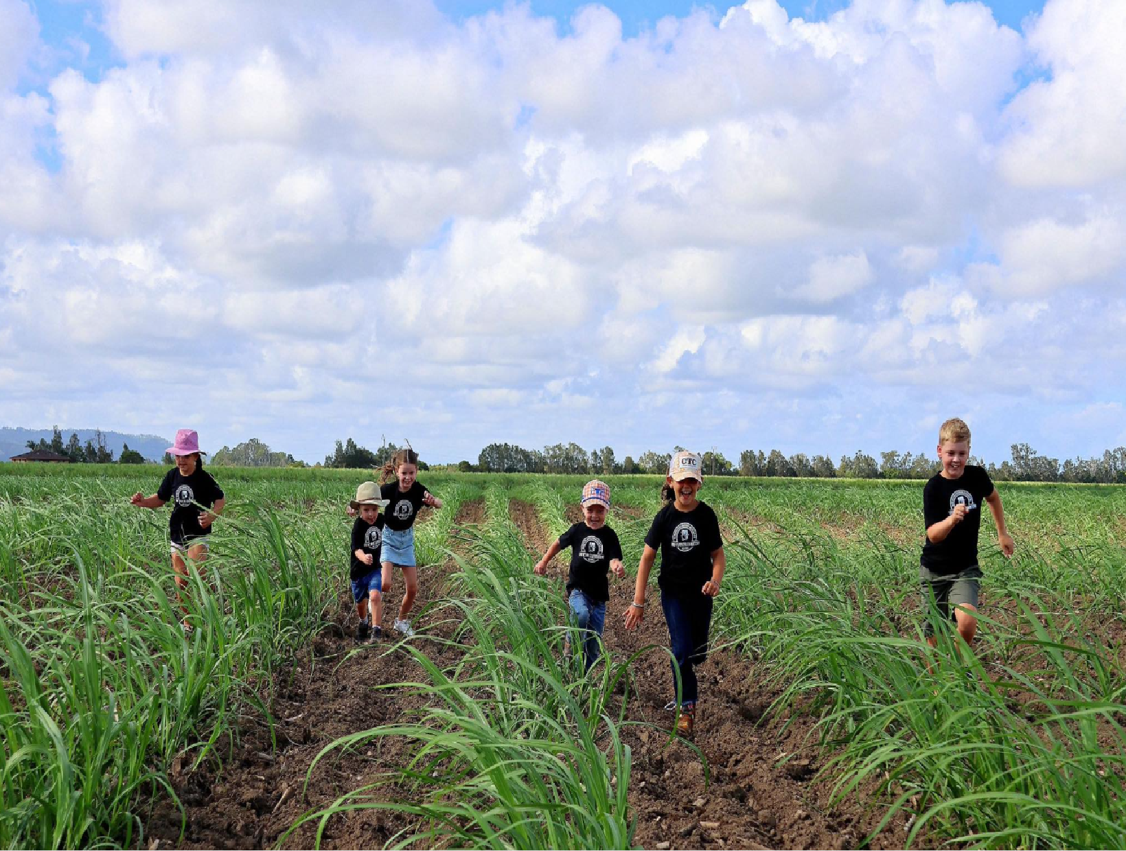 cane-growers.png