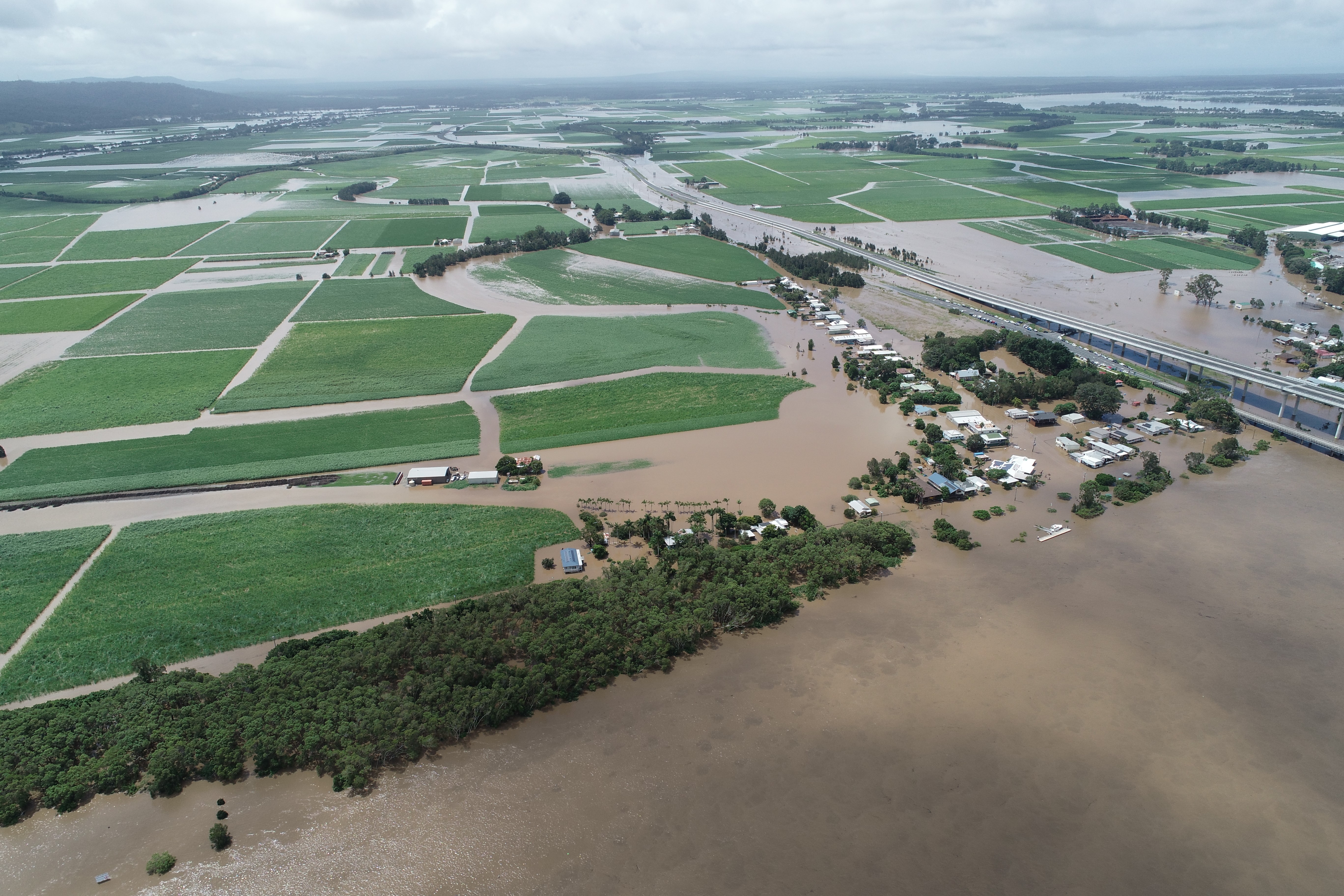 Harwood Flood.jpg