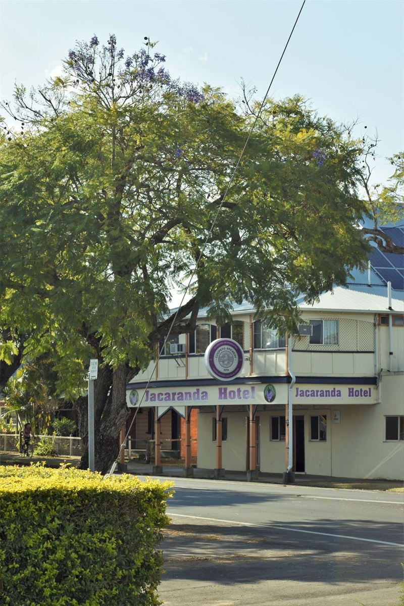 Jacaranda Hotel Jacaranda.JPG