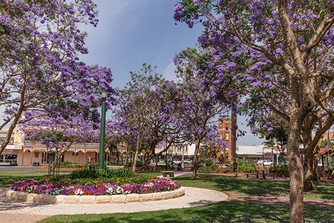 Market square.jpg